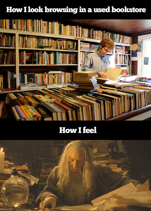 funny-search-library-Gandalf